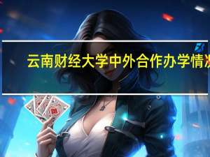 云南财经大学中外合作办学情况