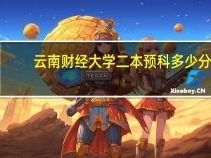 云南财经大学二本预科多少分