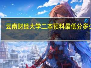 云南财经大学二本预科最低分多少分