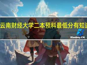 云南财经大学二本预科最低分有知道的么