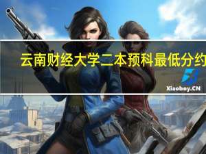 云南财经大学二本预科最低分约为：多少分