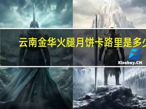 云南金华火腿月饼卡路里是多少