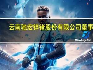 云南驰宏锌锗股份有限公司董事长（云南驰宏锌锗股份有限公司）