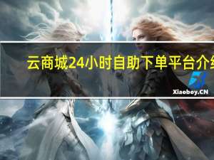 云商城24小时自助下单平台介绍 - 全天候无缝自助下单服务平台