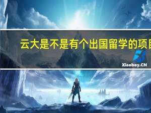 云大是不是有个出国留学的项目