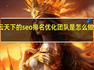 云天下的seo排名优化团队是怎么做优化的，有哪些流程吗