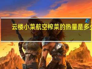 云楼 小菜航空榨菜的热量是多少