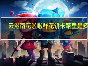 云滋南 花啦啦鲜花饼卡路里是多少