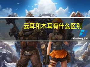 云耳和木耳有什么区别