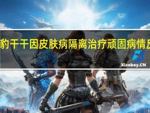 云豹干干因皮肤病隔离治疗 顽固病情反复发作