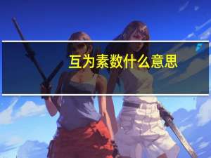 互为素数什么意思