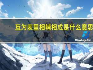 互为表里相辅相成是什么意思