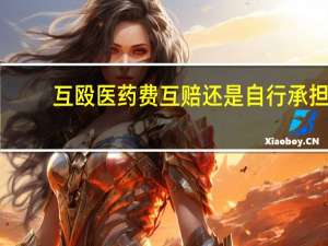 互殴医药费互赔还是自行承担