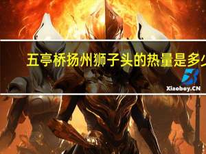 五亭桥 扬州狮子头的热量是多少