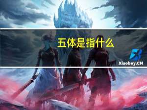 五体是指什么