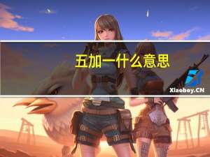 五加一什么意思