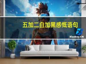 五加二白加黑感慨语句（五加二白加黑）