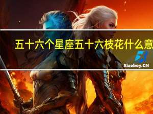 五十六个星座五十六枝花什么意思（五十六个星座五十六枝花）