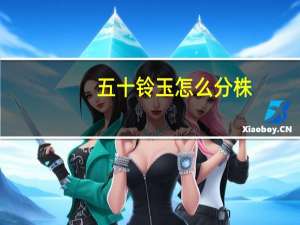 五十铃玉怎么分株