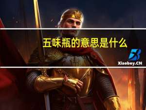 五味瓶的意思是什么