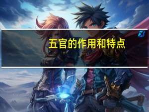 五官的作用和特点