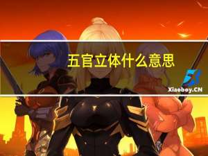 五官立体什么意思