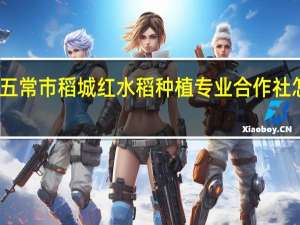 五常市稻城红水稻种植专业合作社怎么样