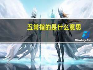 五常指的是什么意思