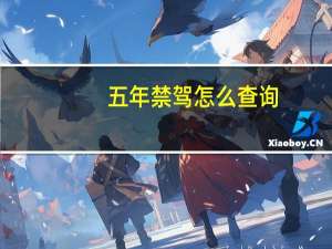 五年禁驾怎么查询