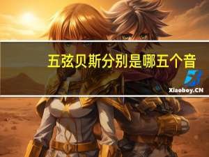 五弦贝斯分别是哪五个音