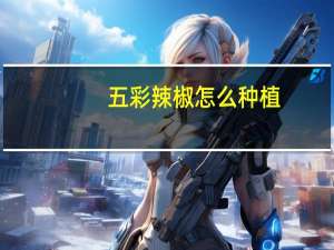 五彩辣椒怎么种植