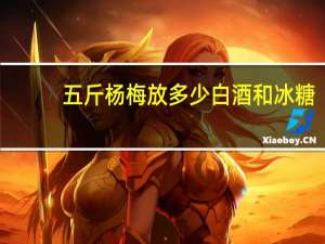 五斤杨梅放多少白酒和冰糖