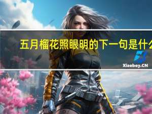 五月榴花照眼明的下一句是什么