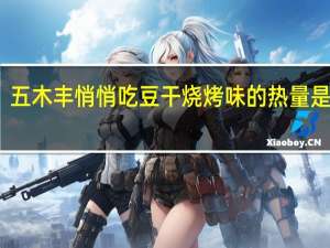 五木丰 悄悄吃豆干烧烤味的热量是多少