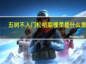 五树不入门松柏梨槐柔是什么意思