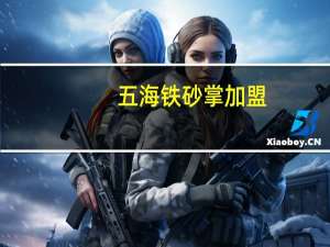 五海铁砂掌加盟（五海铁砂掌）