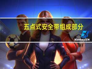 五点式安全带组成部分