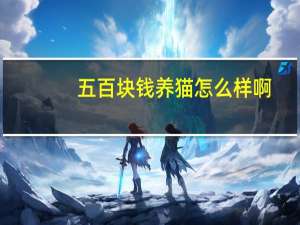 五百块钱养猫怎么样啊