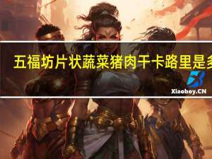 五福坊 片状蔬菜猪肉干卡路里是多少