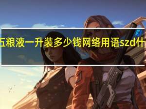 五粮液一升装多少钱 网络用语szd什么意思
