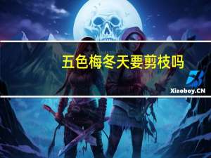 五色梅冬天要剪枝吗