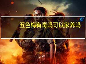 五色梅有毒吗可以家养吗