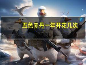五色赤丹一年开花几次