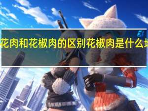 五花肉和花椒肉的区别 花椒肉是什么地方的菜