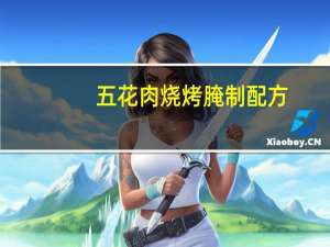 五花肉烧烤腌制配方