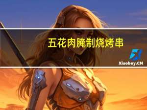 五花肉腌制烧烤串