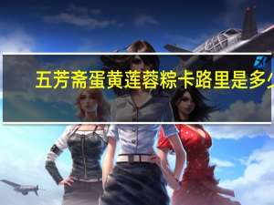 五芳斋 蛋黄莲蓉粽卡路里是多少