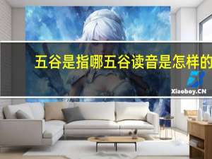 五谷是指哪五谷读音是怎样的