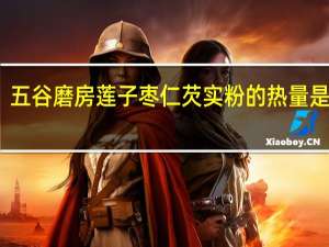 五谷磨房莲子枣仁芡实粉的热量是多少