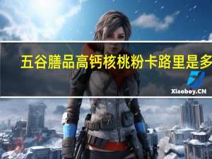 五谷膳品 高钙核桃粉卡路里是多少